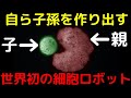 生殖も可能!?生きているロボット「ゼノボット」が世界で初めて開発される