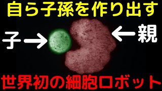 生殖も可能!?生きているロボット「ゼノボット」が世界で初めて開発される