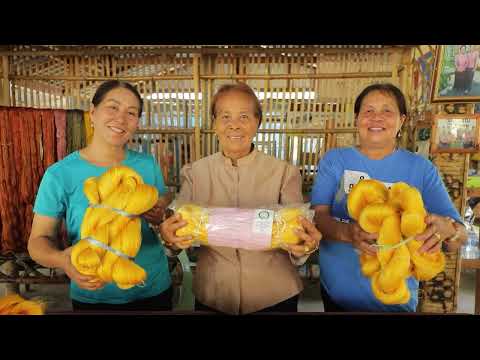 กรมหม่อนไหม ตอน 2 การพัฒนาการผลิตรังไหมและเส้นไหม