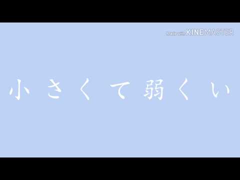〈東方PV〉アトラクトライト