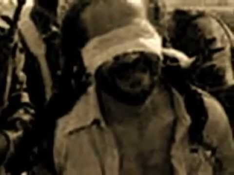 نعره کن ای گل پرپر 