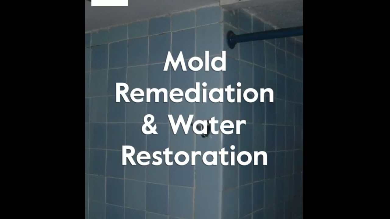 Mold Remediation Water Restoration (203) 533-4114 Stamford CT