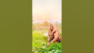 #haryana #haryanvi #desi #jaat #jaatni #trending #youtubeshorts #shorts #shortvideo #viral #short