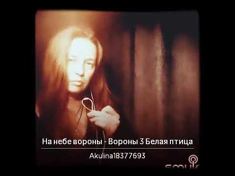 на небе вороны караоке. пес чёрный ворон. ворона караоке. юрий шевчук 1997. на небе вороны караоке.