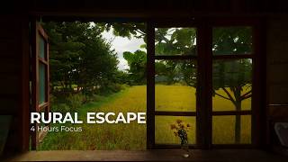 Peaceful Countryside Window View 🌾 4 Hours of Birds & Soft Breeze for Deep Relaxation screenshot 4