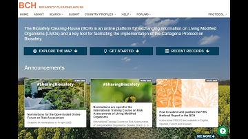 How to update Reference Records