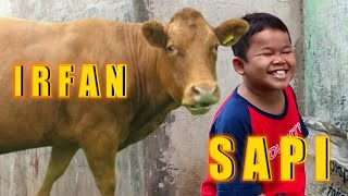 SAPI