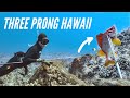 Three prong spearfishing hawaii sams new spear
