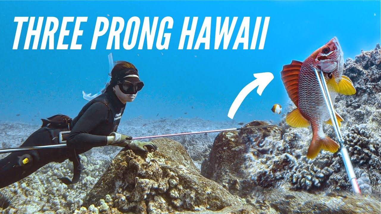 Three Prong SPEARFISHING Hawaii (SAM'S NEW SPEAR!!!) 