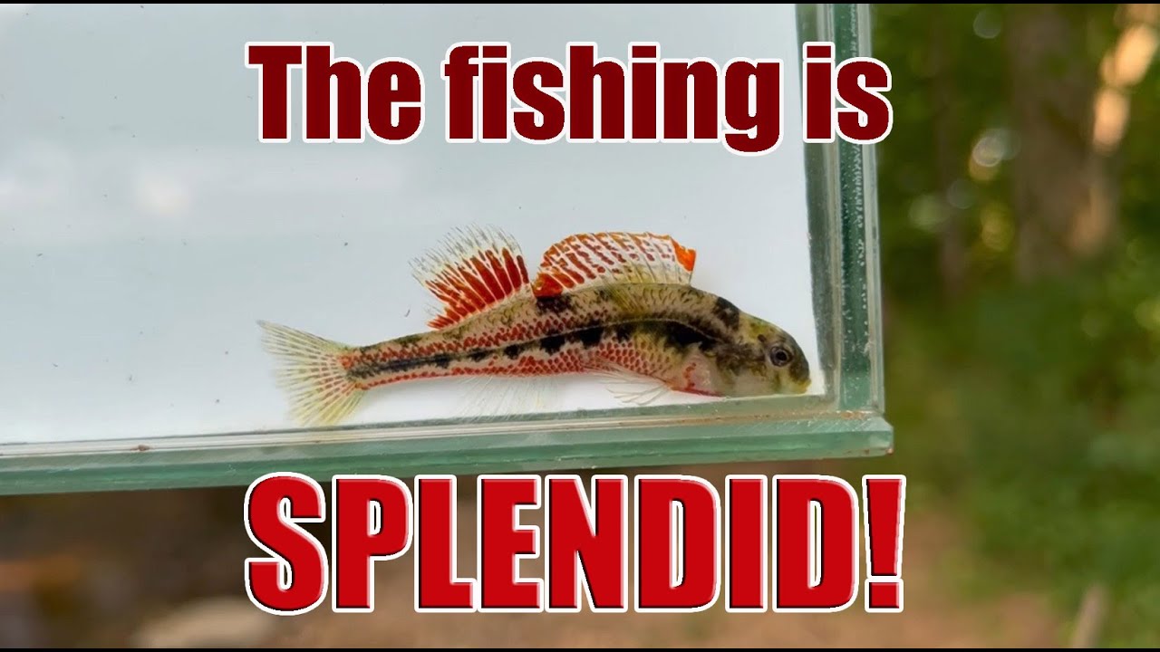 Microfishing: Big Trip, Little Fish, Day 2, Part 2