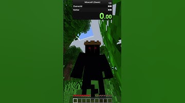 Random item speedrun!!#minecraft #shorts