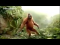 سعدي بيك ا للا Nouvelle Version سعدي بيك ا للا Nouvelle Version