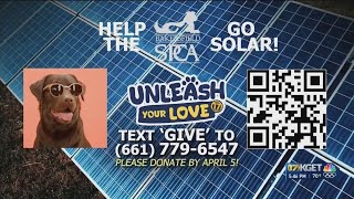 2024 Unleash Your Love fundraiser benefits Bakersfield SPCA