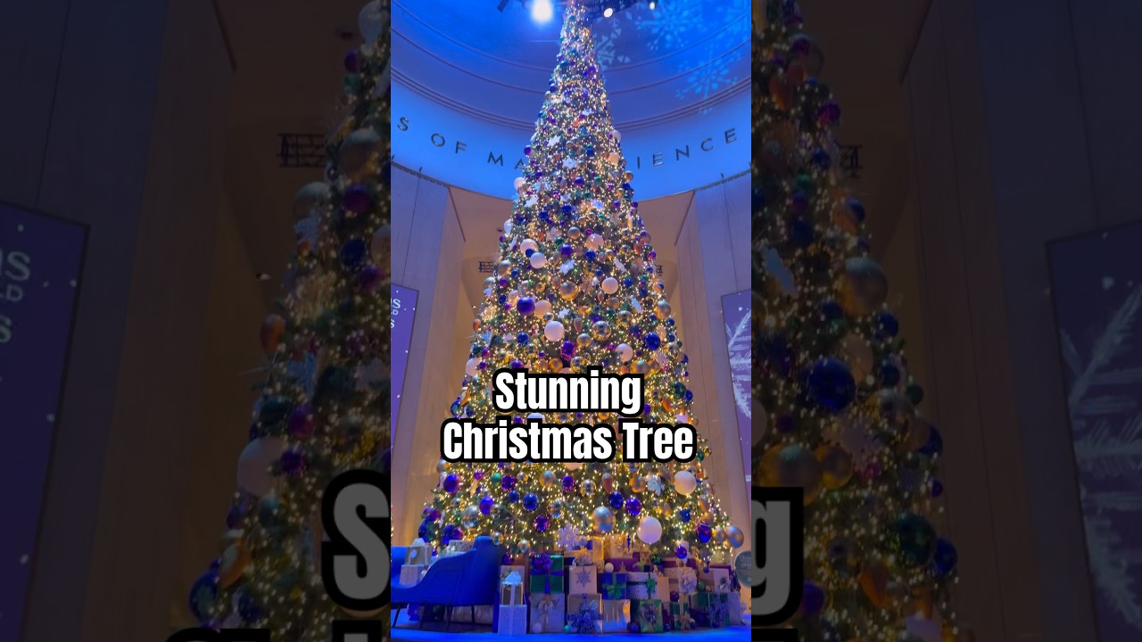 Stunning four-story Christmas Tree at MSI Chicago  