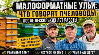 Вся правда о малоформатных ульях от практикующих пчеловодов