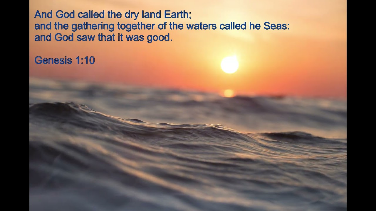 AHM49 / 創世記1章10節