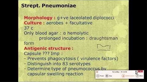 Mod 13 - Respiratory - Microbiology - Ala