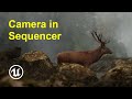 Camera in Sequencer in Unreal Engine 5