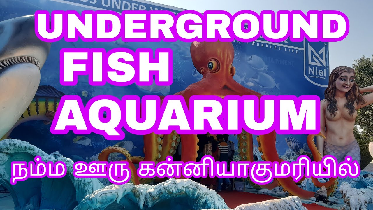 Kanyakumari Oceanos Underwater tunnel Fish aquarium / Makka ithu namma ooru YouTube
