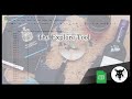 Google Sheets Shorts - Explore (43)
