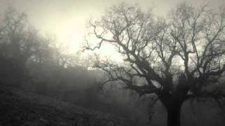 Bleeding Solitude - Beyond the Light of My End Part.I