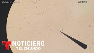 Descubren super bacteria resistente a los antibióticos | Noticiero | Noticias Telemundo