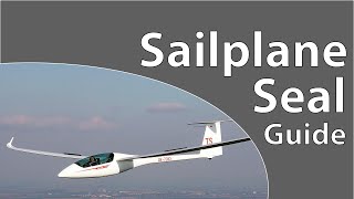 Sailplane Seal Installation Guide - DG 808C