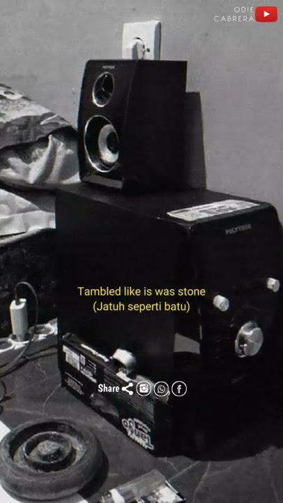 Story WA | Dynasty-MIIA