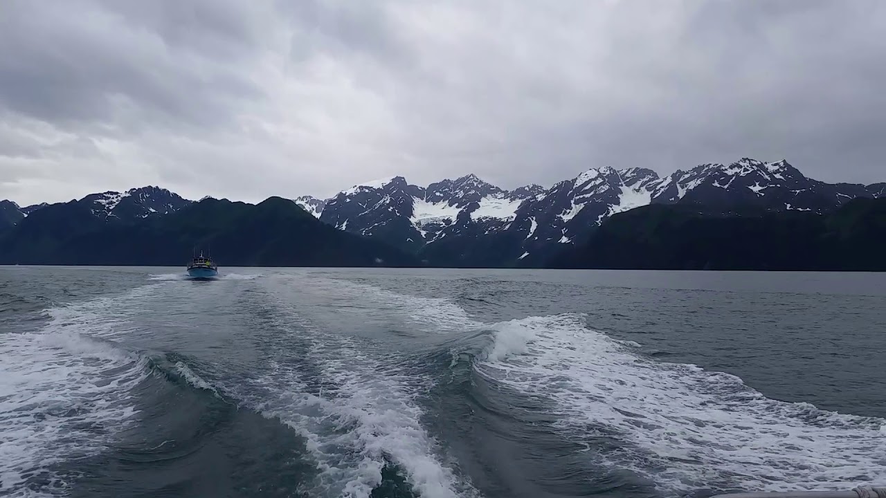 camera iphone 8 plus apk Incredible Views on Resurrection Bay, Alaska Saltwater Lodge Tours, Seward, Alaska