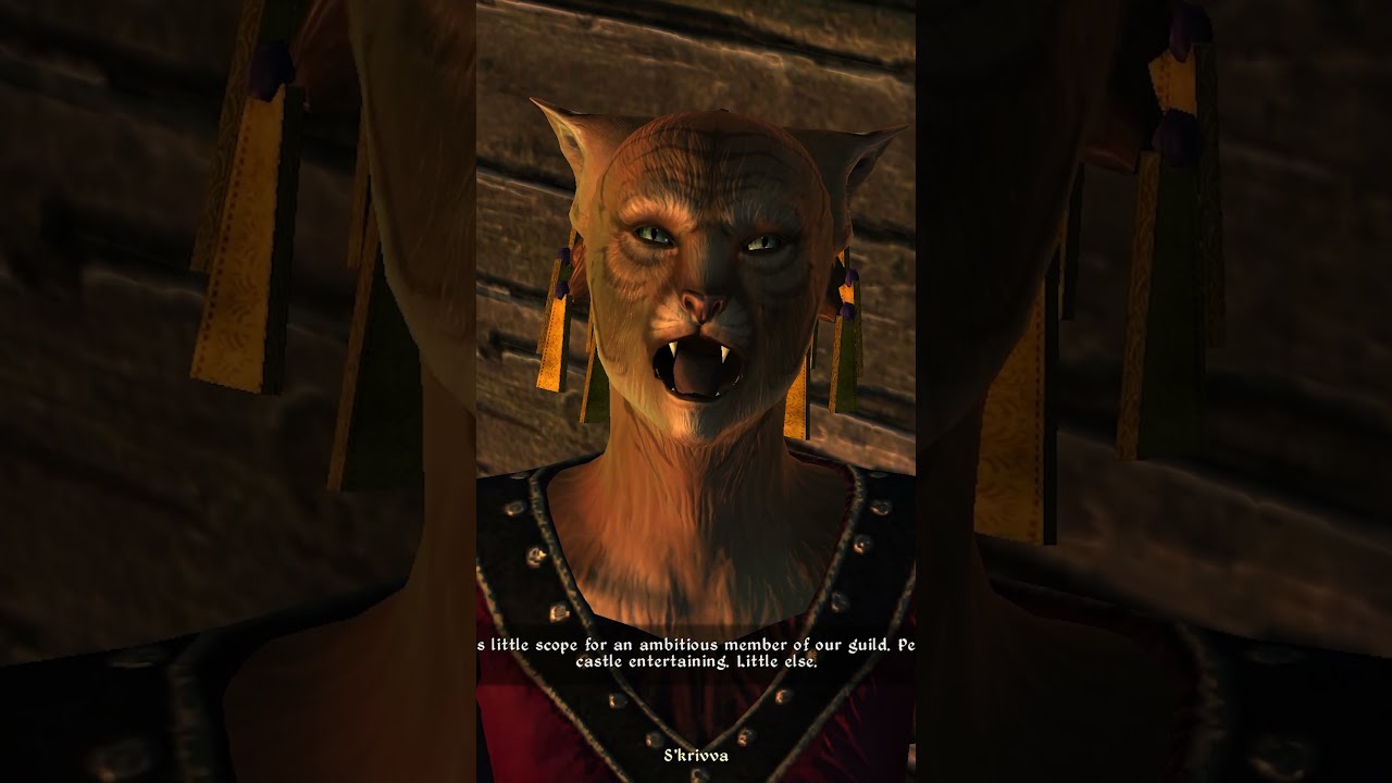 Oblivion Roleplay Journal! 