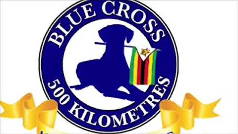 Blue Cross 2018 appeal. Kirsten Valentine