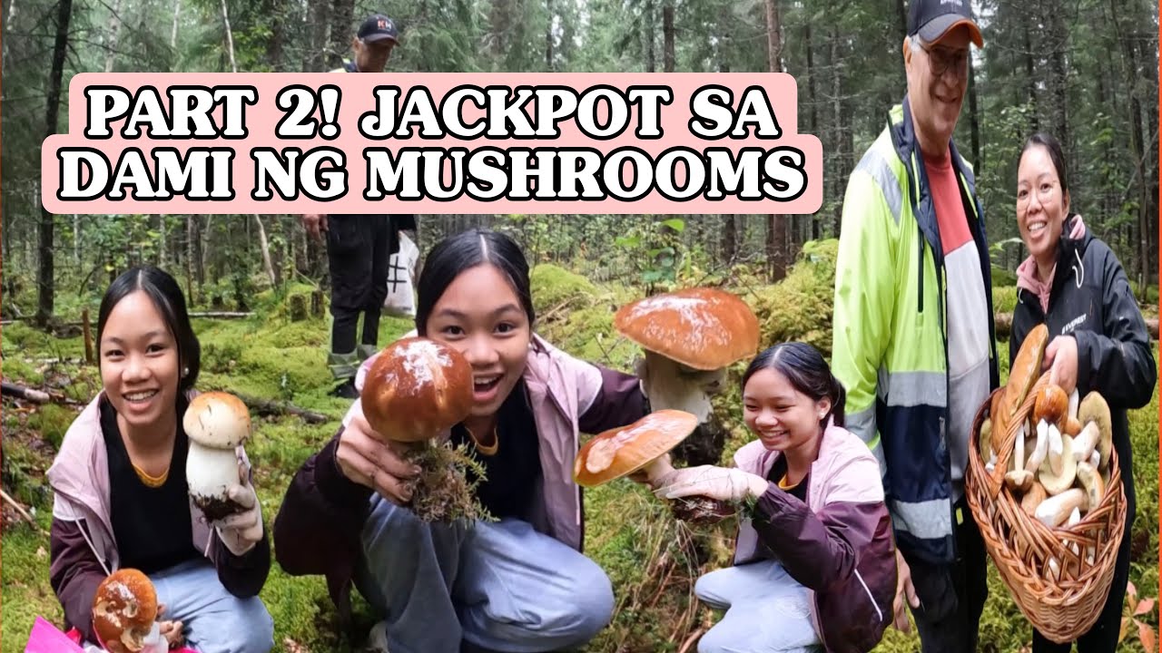 PART 2 ! JACKPOT NANAMAN SA DAMI NG MUSHROOM! 