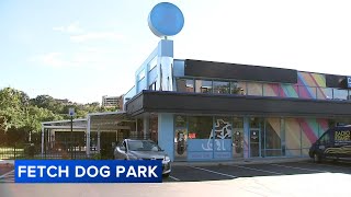 Fetch Park brings dog-friendly sports bar vibes to Manayunk