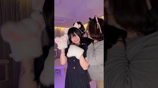 毎晩にゃんにゃんしてないよ