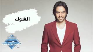 Bahaa Sultan - El Shouk (Audio) | بهاء سلطان - الشوك