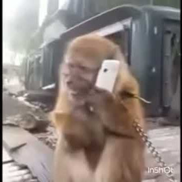 Cerita lawak hahaha