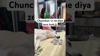 Chunchun Hui Hairaan