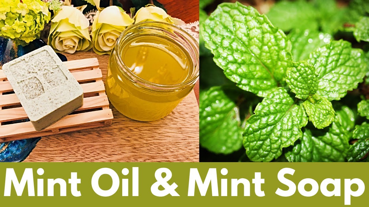 [DIY] Mint Oil & Mint Soap - طريقة عمل زيت النعناع وصابونة النعناع لبشرة متألقة وصافية