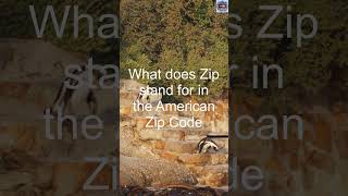 Famous What does Zip stand for in the American Zip Code Profile