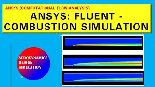 ANSYS: FLUENT - Combustion Simulation