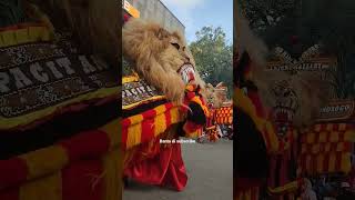 Dadak Merak Reog Ponorogo