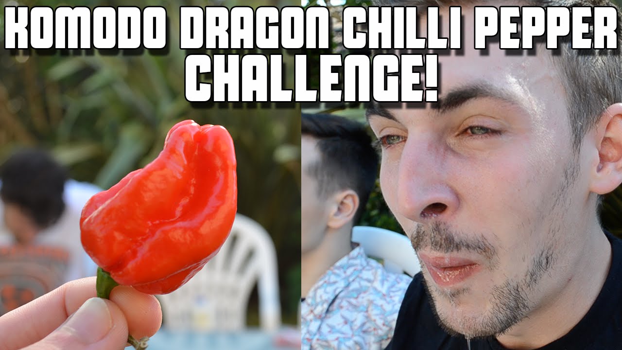 Komodo Dragon Chilli Pepper Challenge 1 4 Million Scoville Units Wheresmychallenge Youtube
