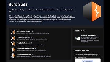 Burp Suite Professional 🔦INSTALL {Web Proxy-комбайн - с большим количеством функционала}. Passive...