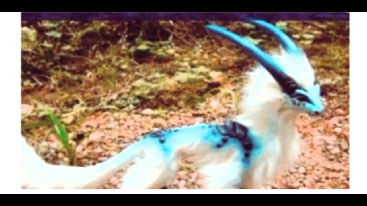 Unique animal in the world 😱🤔🇵🇰💯. 