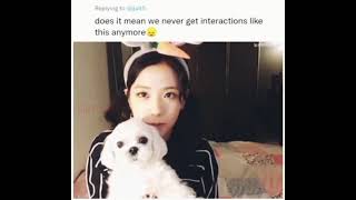 Jisoo Got Allergic To Dalgom