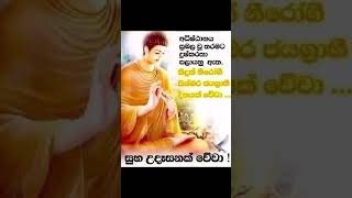 සුභ උදැසනක්  වෙවා 😍 #quotes #srilanka #love #bollywood #fashion #buddha #goodmorning