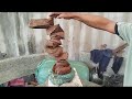 M272 gl nhánh rạng đông 150k LH 0707713796 Khương bonsai