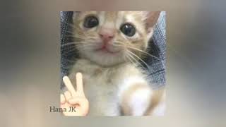 Sped Up Tiktok Audios That I Love The Most Timestamps