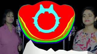 Awaz Hamari Isi Wadi Mein Rahegi L Hamko Na Bulana Kabhi, Humko Na Bhulana L Cover By Annu Rajput