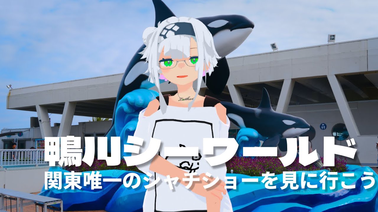 【水族館Vlog】鴨川シーワールドでシャチショーを見よう！【見たことないから】